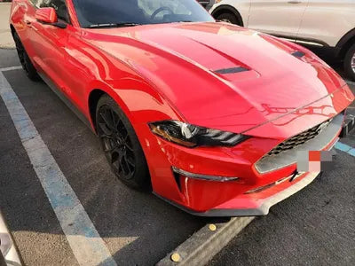 2019 Ford Mustang VIN: