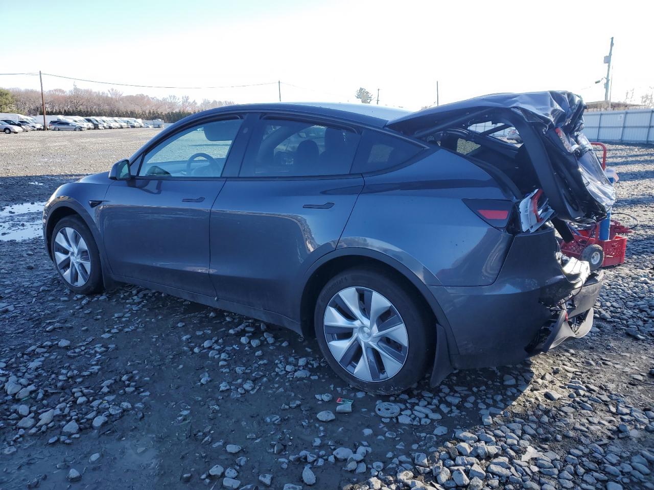 2023 TESLA MODEL Y  VIN:7SAYGDED7PF923057