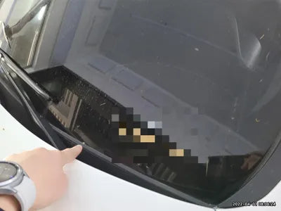 2021 Hyundai Santa FE KMHS281HGMU344697 VIN:KMHS281HGMU344697