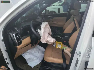 2021 Kia Sorento KNARF81BGMA095607 VIN:KNARF81BGMA095607