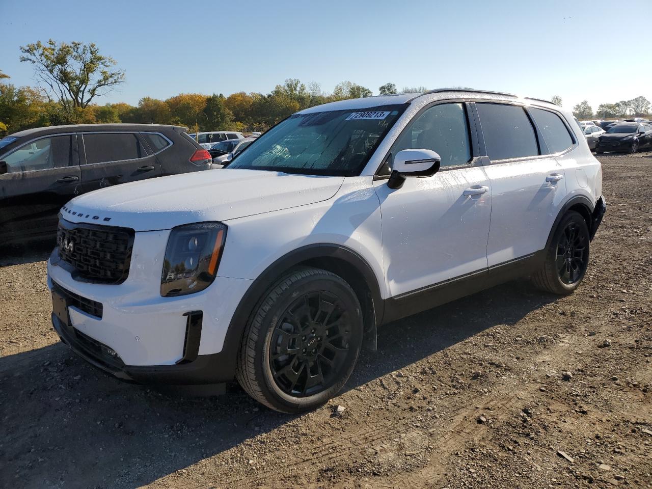 2022 KIA TELLURIDE SX VIN:5XYP5DHC4NG311888