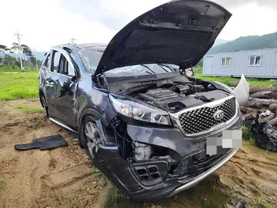 2016 Kia Sorento KNAPS81ABGA223165 VIN:KNAPS81ABGA223165