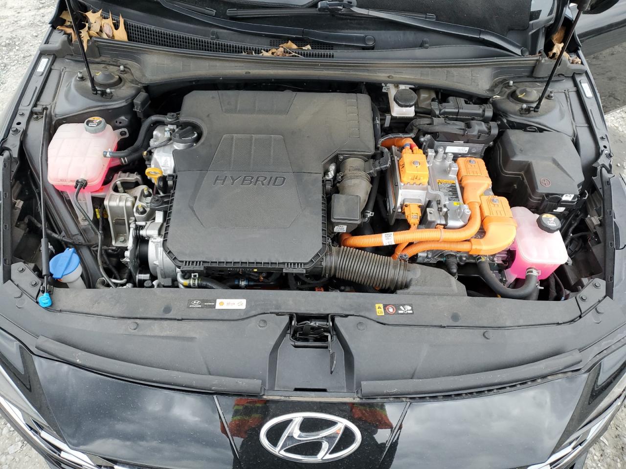 2023 HYUNDAI ELANTRA LIMITED VIN:KMHLN4AJ5PU065227