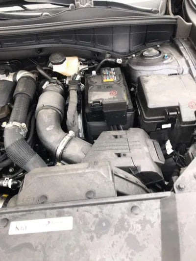 2022 Kia Sorento KNARM81FGNA147321 VIN:KNARM81FGNA147321