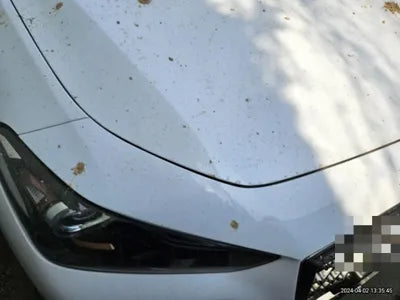 2018 Genesis G70 VIN: