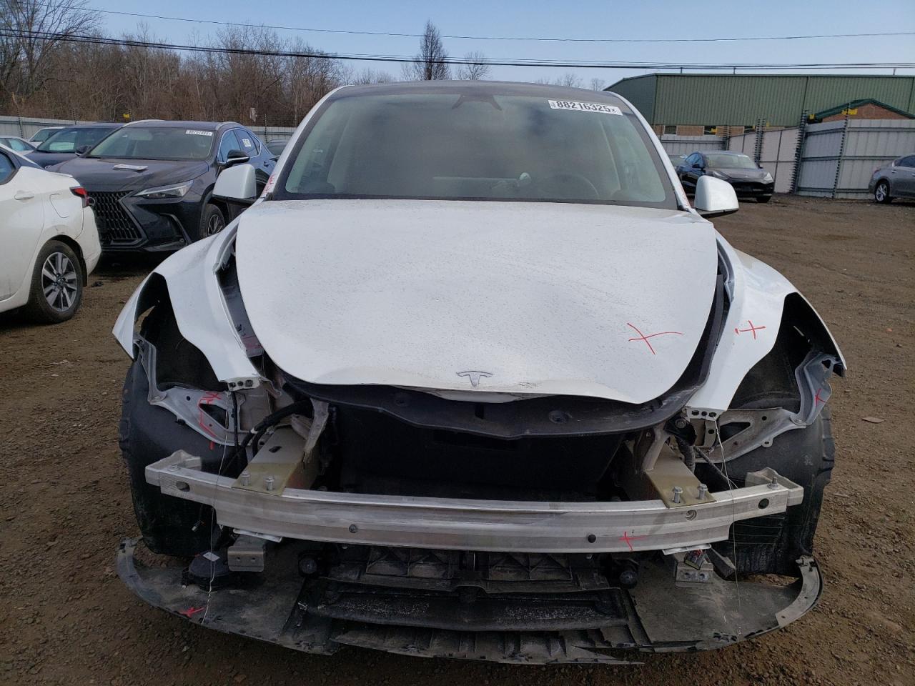 2023 TESLA MODEL Y  VIN:7SAYGDEFXPF855628