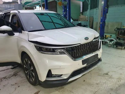 2020 Kia Carnival KNANB81BBMS024261 VIN:KNANB81BBMS024261