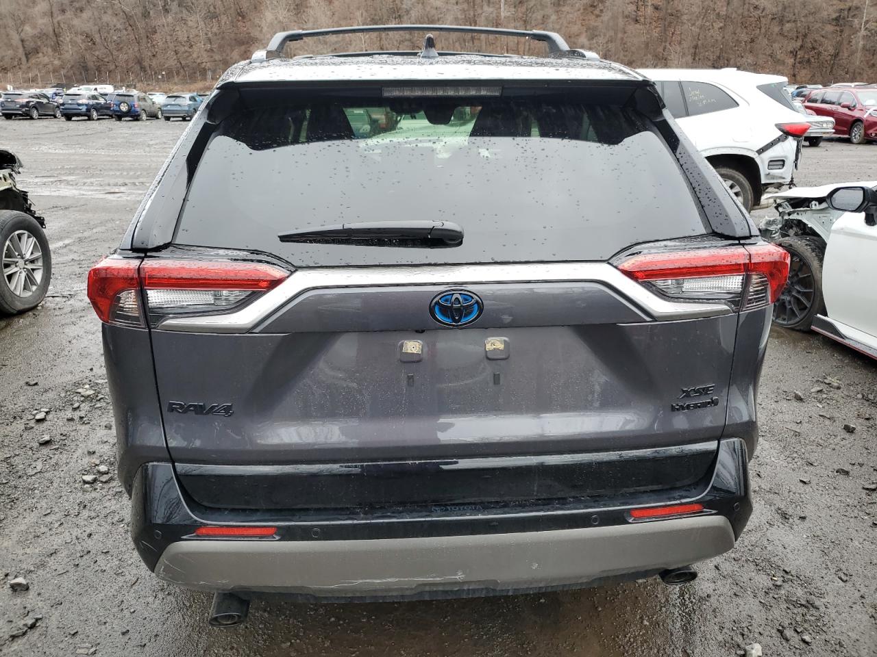 2024 TOYOTA RAV4 XSE VIN:JTME6RFV7RJ059209