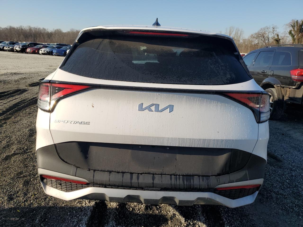2023 KIA SPORTAGE EX VIN:5XYK33AF4PG100403