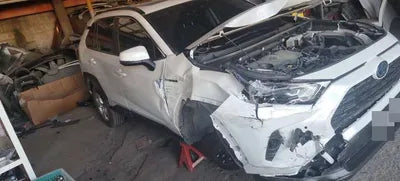 2019 Toyota RAV4 JTMW2RFV8KD024893 VIN:JTMW2RFV8KD024893