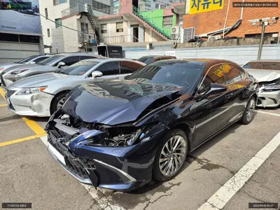 2021 Lexus ES 300 JTHBA1C15N2007827 VIN:JTHBA1C15N2007827