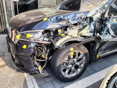 2019 Kia Sorento KNAPH81ABLA569735 VIN:KNAPH81ABLA569735