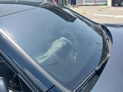 2020 Mercedes-Benz A 220 W1K3G4EB4LJ244264 VIN:W1K3G4EB4LJ244264