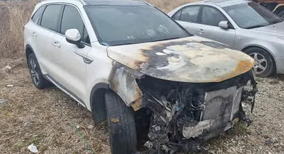 2021 Kia Sorento KNARH81GBMA021079 VIN:KNARH81GBMA021079