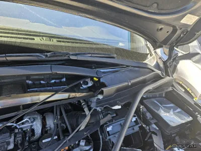 2020 Kia Carnival VIN: