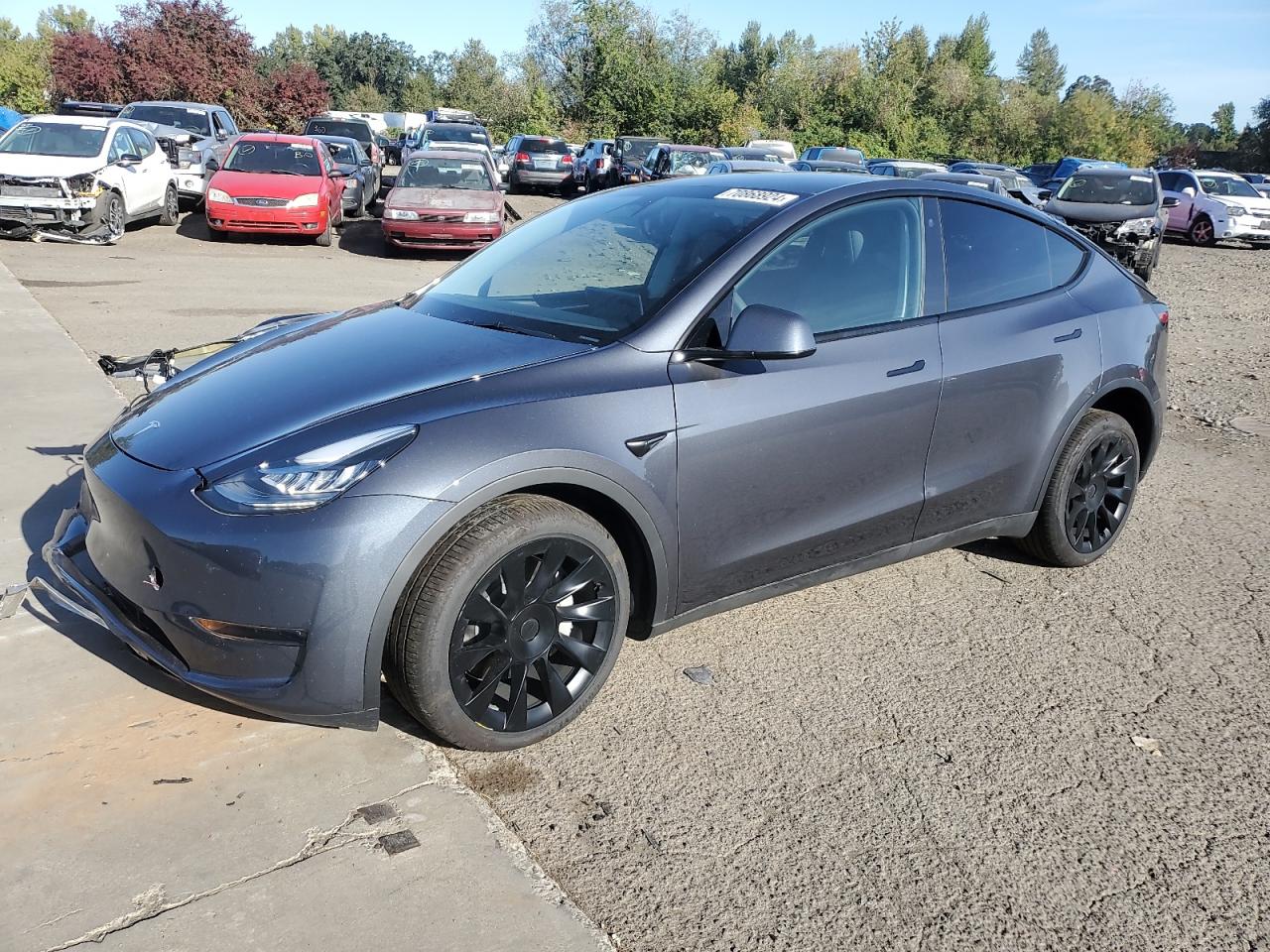 2023 TESLA MODEL Y VIN:7SAYGDEE6PA119497
