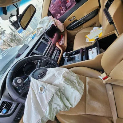 2017 Kia Carnival KNAMB81ABJS422650 VIN:KNAMB81ABJS422650