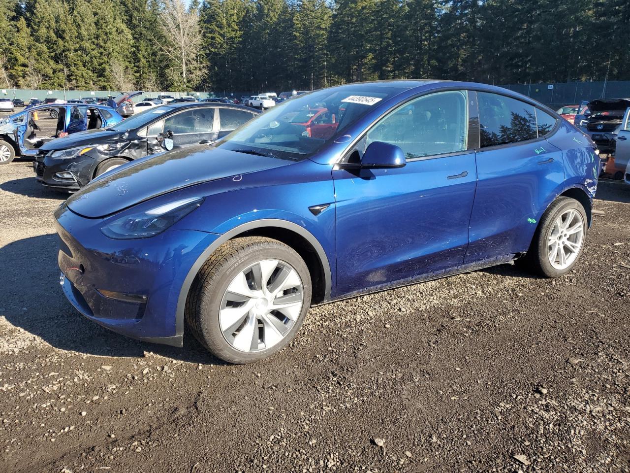 2023 TESLA MODEL Y  VIN:7SAYGDEE7PF760001