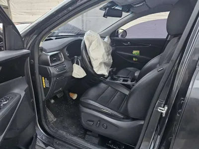 2019 Kia Sorento KNAPG81ABKA518989 VIN:KNAPG81ABKA518989