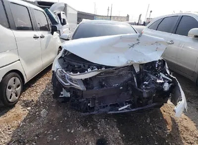 2019 Kia K5 KNAGT411BKA310888 VIN:KNAGT411BKA310888