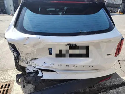 2021 Kia Sorento KNARF81GDMA045087 VIN:KNARF81GDMA045087