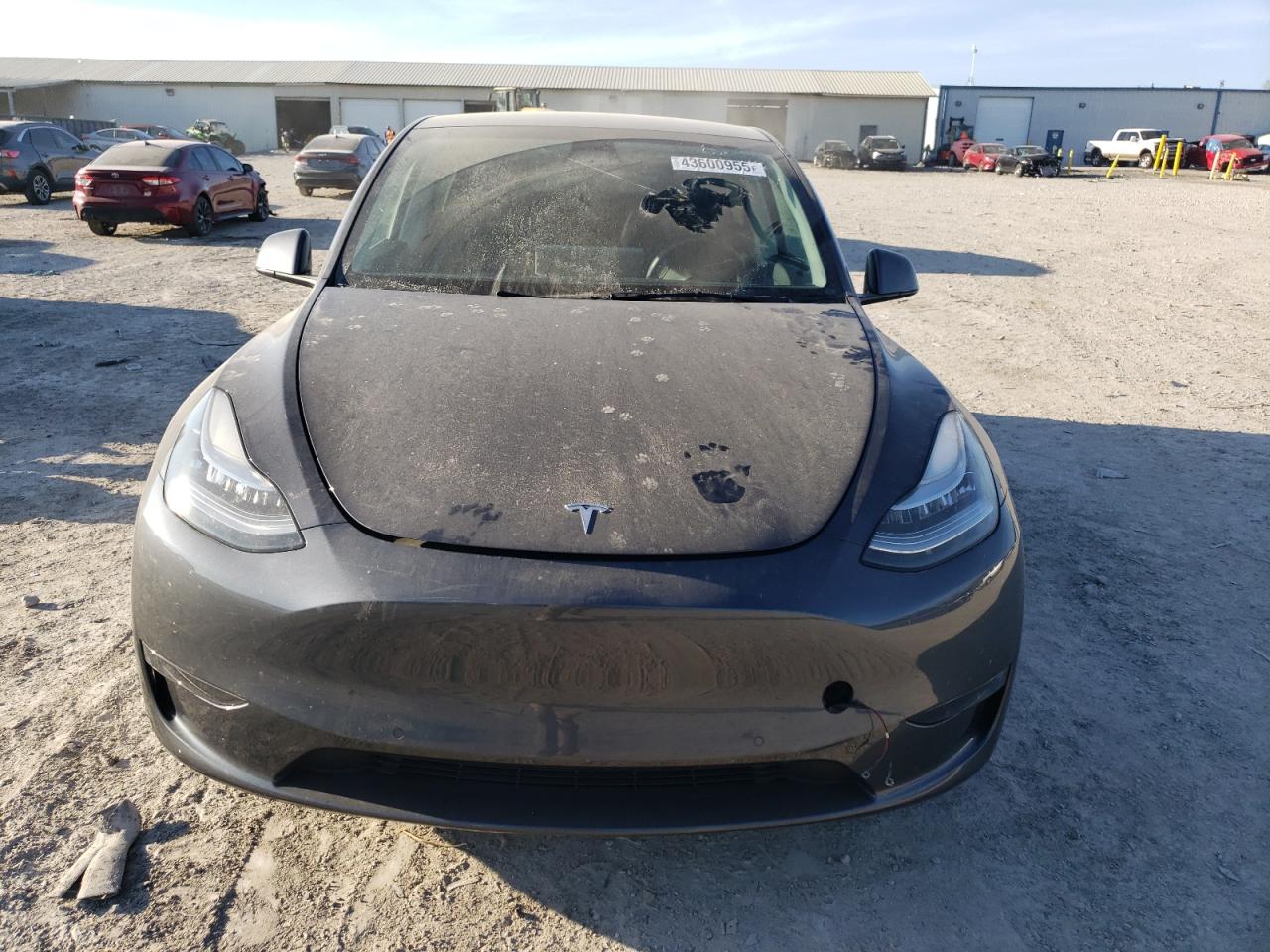 2022 TESLA MODEL Y  VIN:7SAYGDEE6NF331851