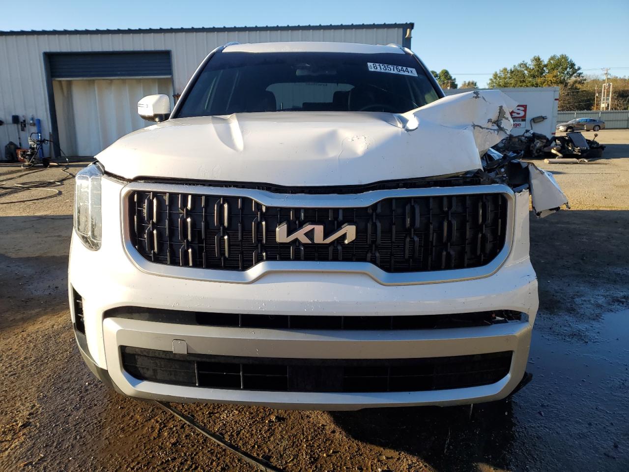 2024 KIA TELLURIDE EX VIN:5XYP3DGC6RG483966