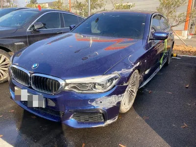 2020 BMW 530 WBAJR5104LWW75015 VIN:WBAJR5104LWW75015