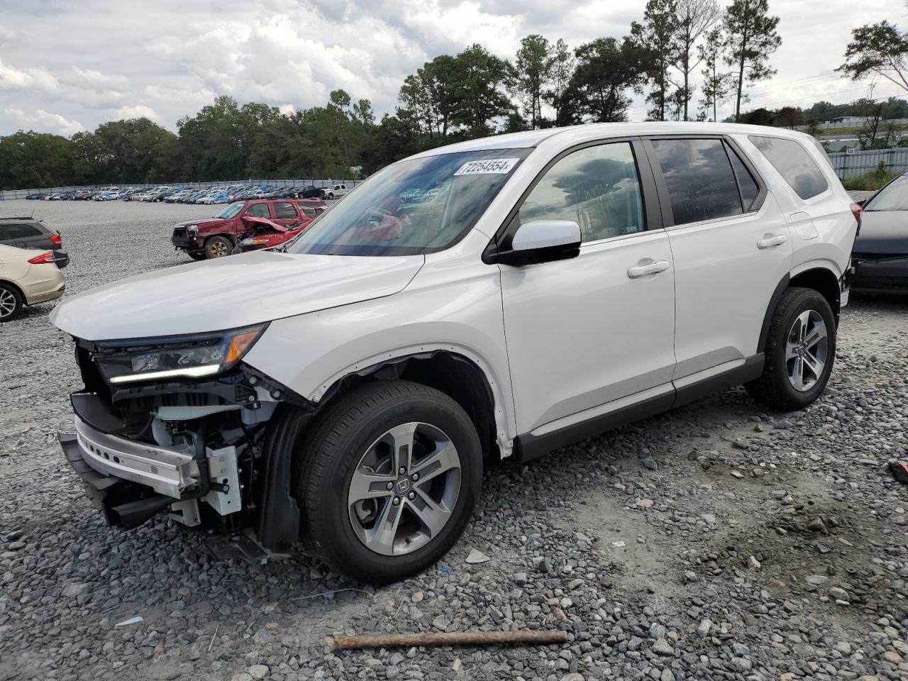 2024 HONDA PILOT EXL VIN:5FNYG2H43RB014815