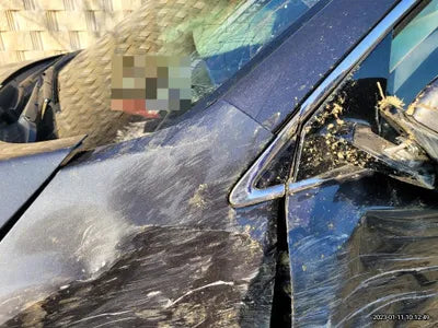 2016 Kia Sorento KNAPS81ABGA199692 VIN:KNAPS81ABGA199692