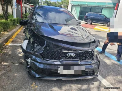 2020 Kia Sorento KNAPG81ABLA626790 VIN:KNAPG81ABLA626790
