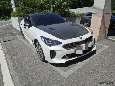 2019 Kia Stinger VIN: