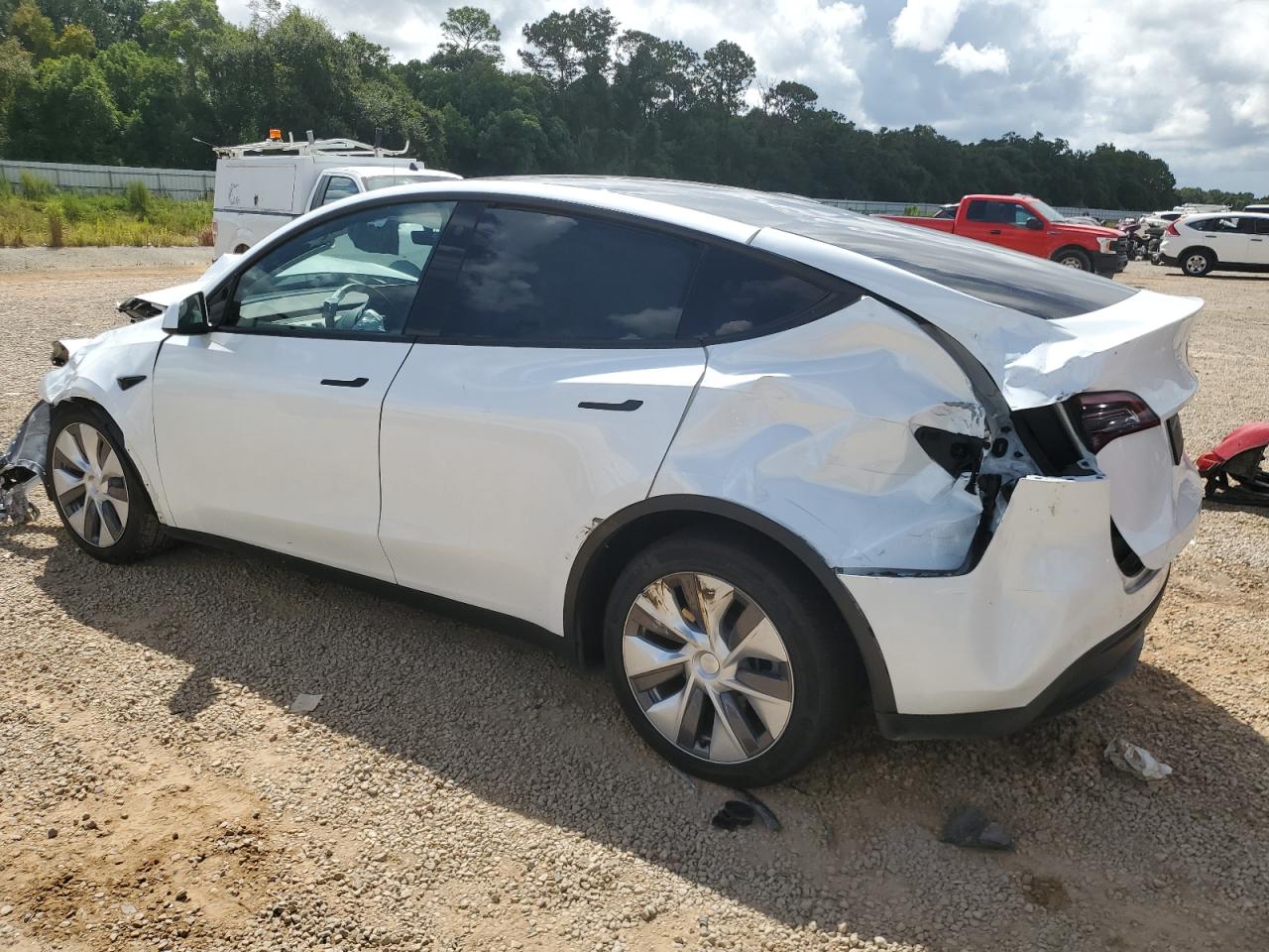 2023 TESLA MODEL Y  VIN:7SAYGDEE4PA069456