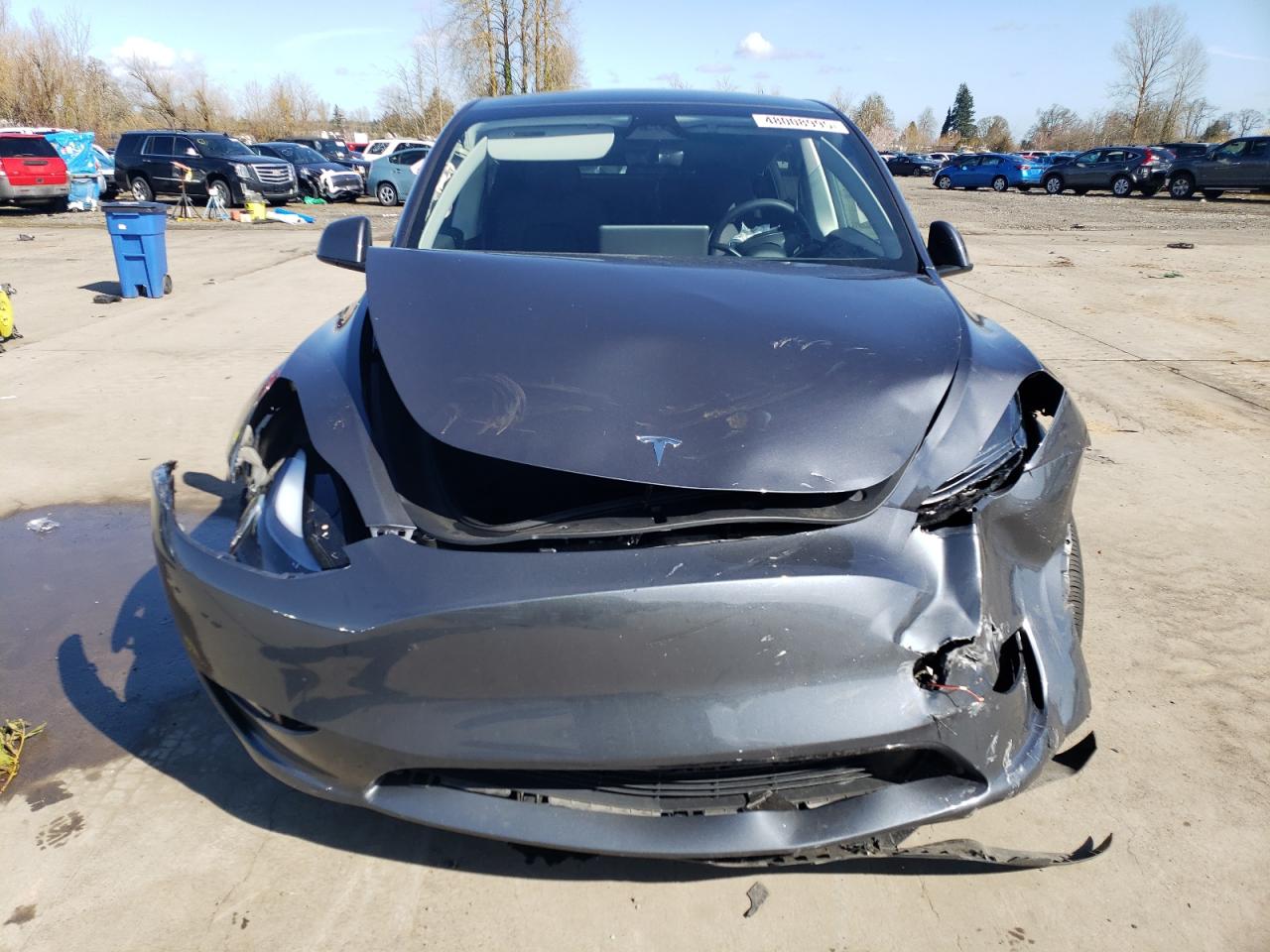 2023 TESLA MODEL Y  VIN:7SAYGDEE9PF862819