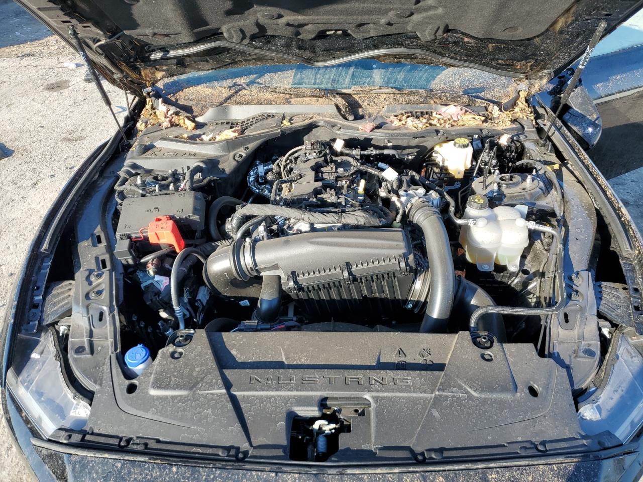 2024 FORD MUSTANG  VIN:1FA6P8TH3R5105482