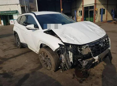 2021 Hyundai Tucson KMHJE811BMU009800 VIN:KMHJE811BMU009800