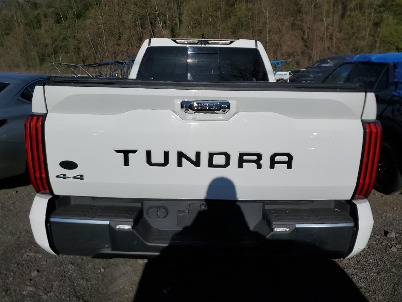 2022 TOYOTA TUNDRA DOUBLE CAB LIMITED VIN:5TFJA5DA8NX047731