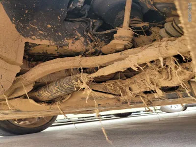 2019 Mercedes-Benz S 350 WDDUF2BB4KA489130 VIN:WDDUF2BB4KA489130