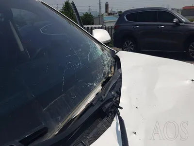 2016 Hyundai Santa FE KMHSW81UBGU635539 VIN:KMHSW81UBGU635539