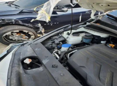 2020 Kia Carnival KNAMC81ABLS647278 VIN:KNAMC81ABLS647278