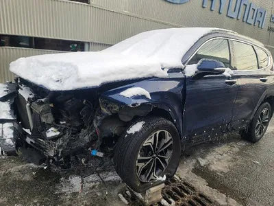 2019 Hyundai Santa FE KMHS381CDKU156880 VIN:KMHS381CDKU156880