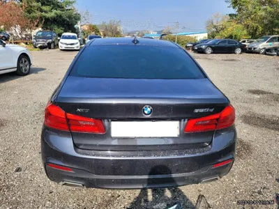 2020 BMW 520 WBAJF5106LCD44448 VIN:WBAJF5106LCD44448