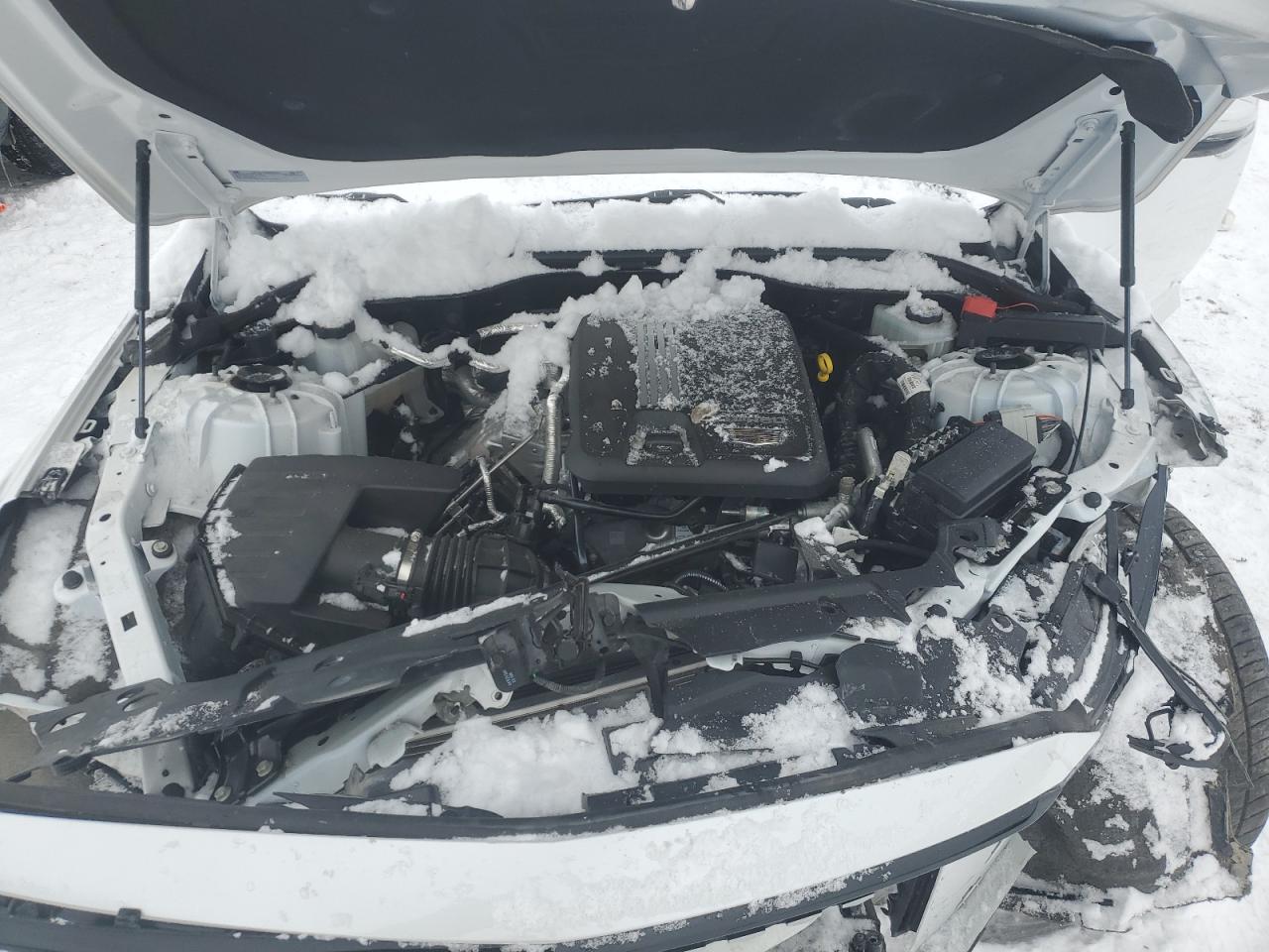 2024 CADILLAC CT5 PREMIUM LUXURY VIN:1G6DT5RK0R0102215