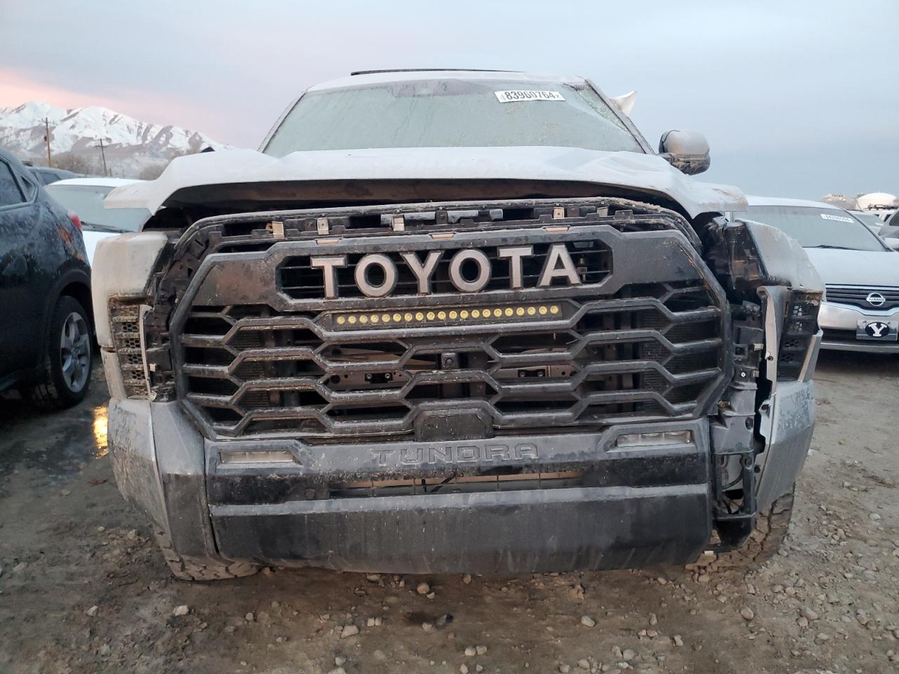 2023 TOYOTA TUNDRA CREWMAX PLATINUM VIN:5TFNA5DB9PX128945