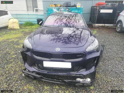 2017 Kia Stinger KNAE751CDJS001317 VIN:KNAE751CDJS001317