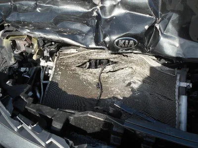 2021 Kia K5 KNAG341ABMA150015 VIN:KNAG341ABMA150015
