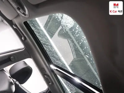 2016 Hyundai Santa FE KMHSW81UDGU613771 VIN:KMHSW81UDGU613771