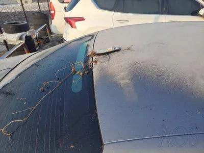 2019 Genesis G90 VIN: