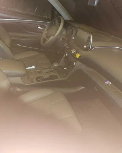 2019 Hyundai Santa FE KMHS381ABKU102827 VIN:KMHS381ABKU102827