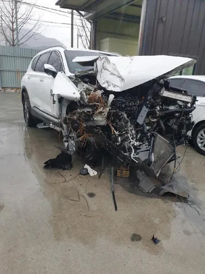 2019 Hyundai Santa FE VIN: